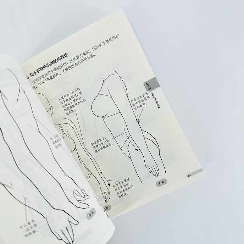 Beginner Manga Drawing Pocket  - Chinese Calligraphy Practice Book ulasan dan harga