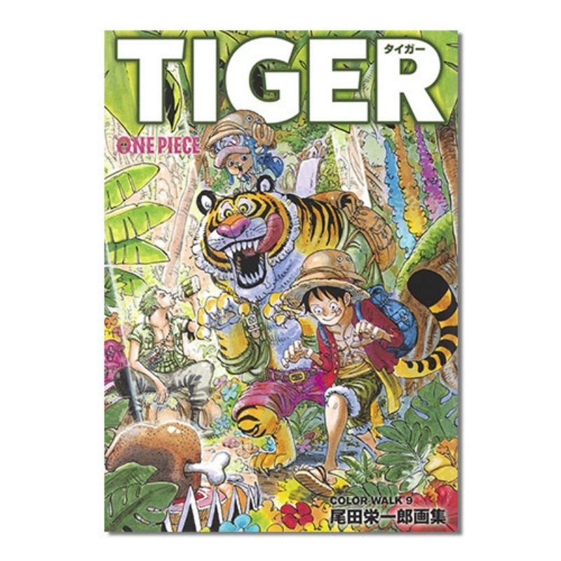 One Piece Illustration Book Co - Stationery Books ulasan dan harga