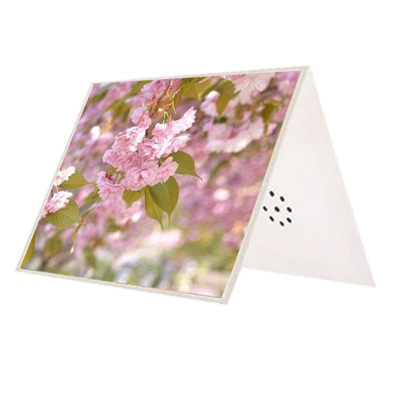 Talking Product, Writeable Gre - Blank Sheet Music Notebook ulasan dan harga